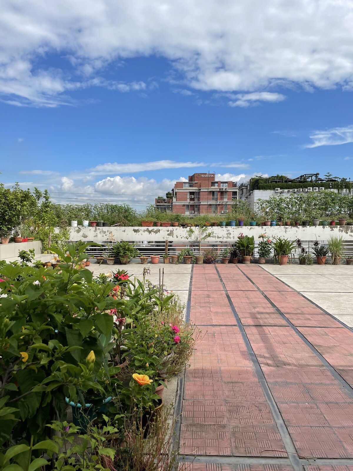 Rooftop garden walkway lined with plants and a city view in Dhaka, built by Eco Bondhu